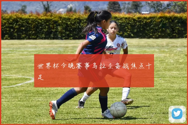 世界杯今晚赛事乌拉圭备战焦点十足