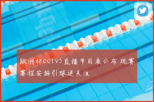 欧洲杯cctv5直播节目表公布 观赛赛程安排引球迷关注